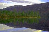 Gavlesjå, Lifjell, Telemark