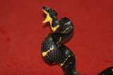 Mangrove Snake