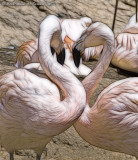 Flamingo Love (Fractalius)