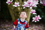 Magnolia Magic 8