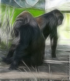 Gorillas In The Mists