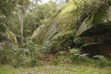 Wollombi027.jpg