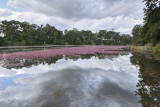 Terrace020.jpg