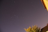Orion