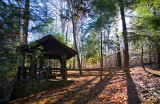 Fall Overlook