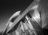 IMG_9858bw_web.jpg