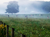  A misty morning in September