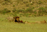 KTP20080068.jpg