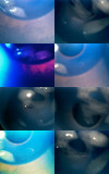 2008-12-30 All in a Glass of Water6.jpg