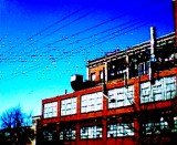 008.jpg