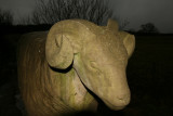 Stone sheep near Low Force