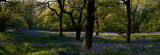 At Last  ( Best viwed full size) 