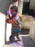 Festival de Holi