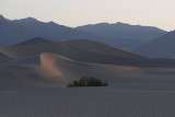 Morning Dunes