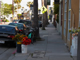 Morning Street Scene