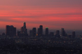 Downtown L.A. Skyline #1