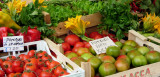 A visit to the market, Italy