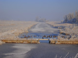 winters beeld