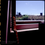 Guitar and Window