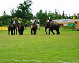 Elephants Polo