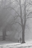 Winner: School run by Thorsten TheBrumReaper