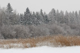 DSC_2154.jpg