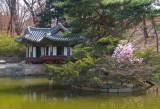 Changdok Palace Detail