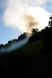 Hillside fire 12-23-2009