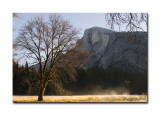 Half Dome from Cooks Meadow