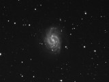 Galaxy NGC4535  18-Apr-2010