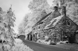 Fountains Cottage in IR