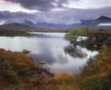 Kaleidoscope Glencoe