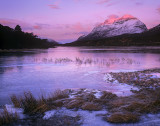 Loch Clair Blush