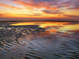 Beach Ripples