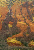 Kaleidoscope Hill
