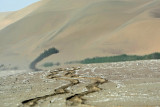 5W4K8375_1.jpg