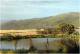 Mountains and Landscape at Sunset, Tulbagh