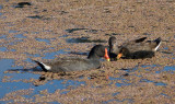 100405_075135_7137 The Family Breakfast (Mon 05 Apr 10)