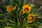 20100504_5418 (M)istock Photo.not.com (Tue 04 May)