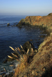 0C9K7817Big Sur Oct31-07.jpg