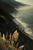 0C9K7856Big Sur Oct31-07.jpg