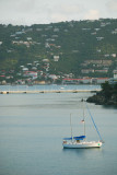 Sailboat in Charlotte Amalie Harbor (Portrait View)