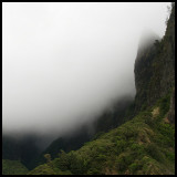 Iao Valley Rainforest and Fog