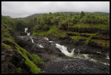 Seven Sacred Pool (Oheo Gulch)