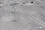 Up n Down (Ski Tracks)