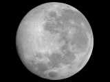Vollmond-24-11-2007-007.JPG