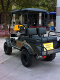 STEALTH Buggy PROFILE