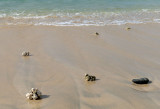 Chaves Beach, Boa Vista