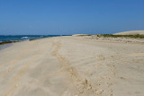 Chaves Beach, Boa Vista