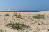 Chaves Beach, Boa Vista